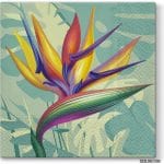 A pack of 13 by 13 inch Decpoupage Napkin Paper (SDL062300) - Set of 5 pcs