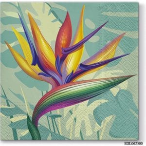 A pack of 13 by 13 inch Decpoupage Napkin Paper (SDL062300) - Set of 5 pcs