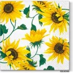 A pack of 13 by 13 inch Decpoupage Napkin Paper (SDL062600) - Set of 5 pcs