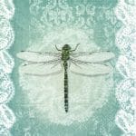 A pack of 12 by 12 inch Decoupage Napkins(5 pcs)  - Dragonfly