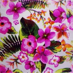 A pack of 12 by 12 inch Decoupage Napkins(5 pcs) (TISSUEP27)