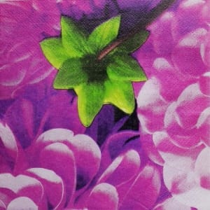 A pack of 12 by 12 inch Decoupage Napkins(5 pcs) (TISSUEP3)