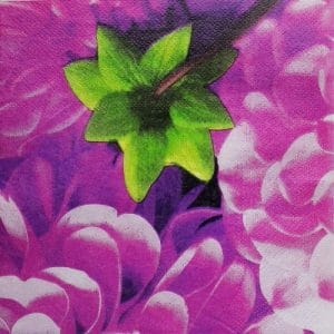 A pack of 12 by 12 inch Decoupage Napkins(5 pcs) (TISSUEP3)