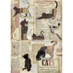 Stamperia Rice Paper A4 - Packed Cats