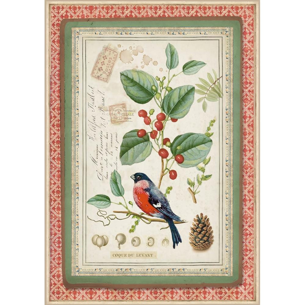 Stamperia Rice Paper A4 - Winter botanic little bird on Holly stamperia winter botanic decoupage paper DFSA4326 Stamperia Rice Paper A4 - Winter botanic little bird on Holly