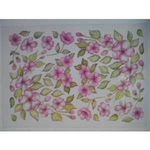 Shilpi Transparent Sospeso / Volume Decoupage Sheet - Pink Beauty