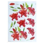 Shilpi Transparent Sospeso / Volume Decoupage Sheet - Red Florals