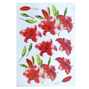 Shilpi Transparent Sospeso / Volume Decoupage Sheet - Red Florals