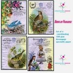 Nakshathra Designz Decoupage paper - Birds of Paradise