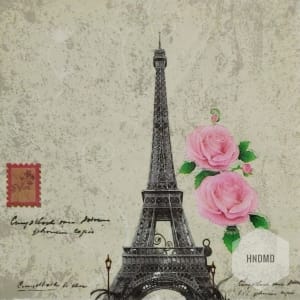 A pack of 12 by 12 inch Decoupage Napkins (5 pcs) - Paris