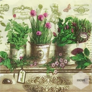 A pack of 12 by 12 inch Decoupage Napkins(5 pcs) - Flower Pots