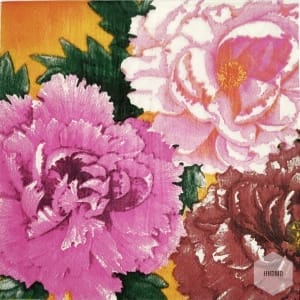 A pack of 12 by 12 inch Decoupage Napkins(5 pcs) - Bright Flowers