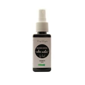 CrafTangles color mists Sprays - Evergreen (50 ml)