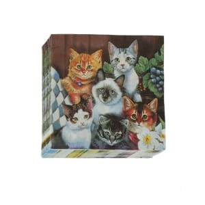 A pack of 12 by 12 inch Decoupage Napkins(5 pcs) - Cute Cats