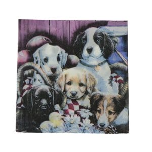 A pack of 12 by 12 inch Decoupage Napkins(5 pcs) - Adorable Dogs