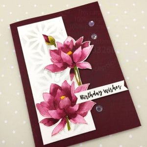 April-release-lotus-flat-lay