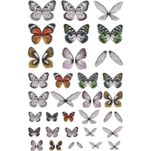 TH93785_tim-holtz_acetate_wings_1