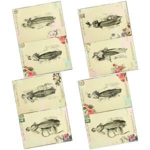 Vintage-Ladies-Amazon-4-Images