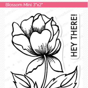 Mudra Craft Stamps - Blossom Mini