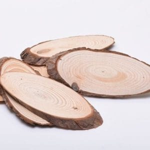 Natural Oval Wooden Slice (12 by 4.5 inch)