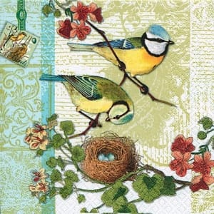 A pack of 12 by 12 inch German Decoupage Napkins ( 5 pcs ) - Birds Family