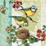 A pack of 12 by 12 inch German Decoupage Napkins ( 5 pcs )  - Birds Family