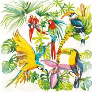 A pack of 12 by 12 inch German Decoupage Napkins ( 5 pcs ) - Birds of Paradise