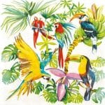 A pack of 12 by 12 inch German Decoupage Napkins ( 5 pcs )  - Birds of Paradise