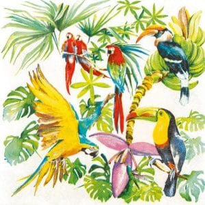 A pack of 12 by 12 inch German Decoupage Napkins ( 5 pcs ) - Birds of Paradise