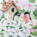A pack of 12 by 12 inch German Decoupage Napkins ( 5 pcs )  - Birds and Blossoms