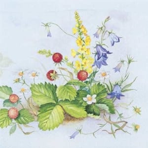 A pack of 12 by 12 inch Decoupage Napkins ( 5 pcs ) - Berry