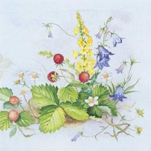 A pack of 12 by 12 inch Decoupage Napkins ( 5 pcs ) - Berry