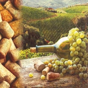 A pack of 12 by 12 inch German Decoupage Napkins ( 5 pcs ) - Vineyard