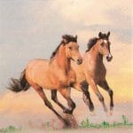 A pack of 12 by 12 inch German Decoupage Napkins ( 5 pcs )  - Wild Horses
