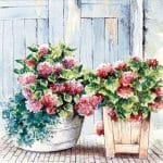 A pack of 12 by 12 inch German Decoupage Napkins ( 5 pcs )  - Cottage Hydrangeas