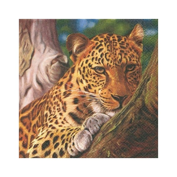 A pack of 12 by 12 inch German Decoupage Napkins ( 5 pcs ) - Leopard