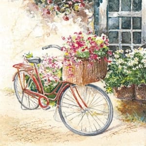 A pack of 12 by 12 inch German Decoupage Napkins ( 5 pcs ) - Flower Bike