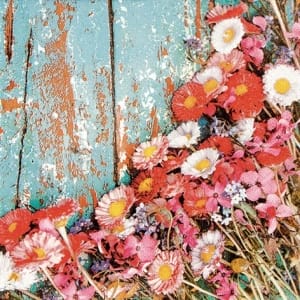 A pack of 12 by 12 inch German Decoupage Napkins ( 5 pcs ) - Shabby Chic Daisies