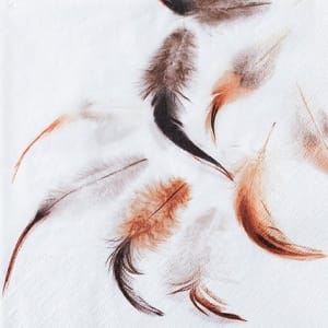 A pack of 12 by 12 inch German Decoupage Napkins ( 5 pcs ) - Feathers