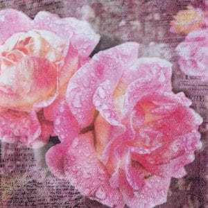 A pack of 12 by 12 inch German Decoupage Napkins ( 5 pcs ) - English Rose
