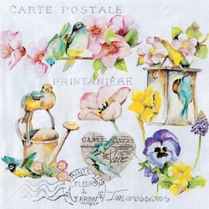 A pack of 12 by 12 inch German Decoupage Napkins ( 5 pcs ) - Garden Flair