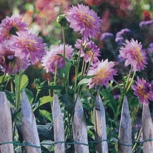 A pack of 12 by 12 inch German Decoupage Napkins ( 5 pcs ) - Garden View