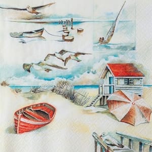 A pack of 12 by 12 inch German Decoupage Napkins ( 5 pcs ) - Sea Breeze