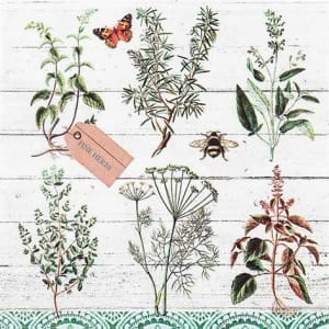 A pack of 12 by 12 inch German Decoupage Napkins ( 5 pcs ) - Floral Study