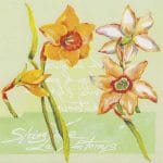 A pack of 12 by 12 inch German Decoupage Napkins ( 5 pcs )  - Daffodils in Spring