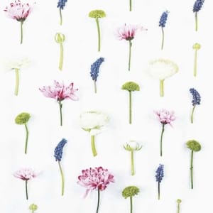 A pack of 12 by 12 inch German Decoupage Napkins ( 5 pcs ) - Flower Composition