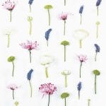 A pack of 12 by 12 inch German Decoupage Napkins ( 5 pcs )  - Flower Composition