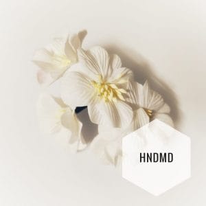 Large Mulberry Flowers - White (Pack of 10) (CAMR398)