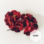 Mulberry Poppy Flowers - Maroon (Pack of 10)