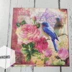 A pack of 12 by 12 inch Decoupage Napkins / Decoupage Tissues (5 pcs)  - Birds and Roses